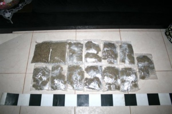 Un tânăr a fost prins cu etnobotanice în zona Boema